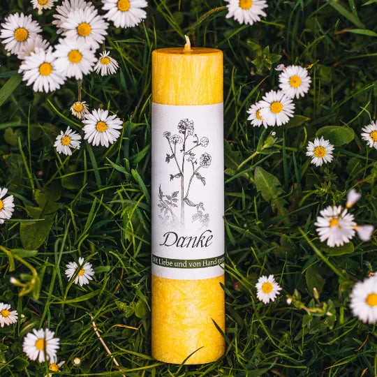 Gelbe Allgäuer Heilkräuterkerze "Danke" im Gras mit Gänseblümchen, für Dankbarkeit und positive Energie.