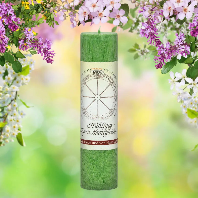Grüne Kräuterkerze "Frühlings-Tag-u.-Nachtgleiche" umgeben von Blüten, feiert Ostara & das Erwachen der Natur.