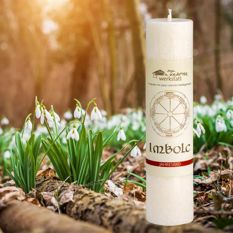 Weiße Kräuterkerze "Imbolc" inmitten von Schneeglöckchen, feiert die Rückkehr des Lichts & Frühlingsbeginn.