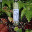 Olivgrüne Kräuterkerze "Innerer Reichtum" umgeben von Efeu, symbolisiert Harmonie & Einklang mit der Natur.