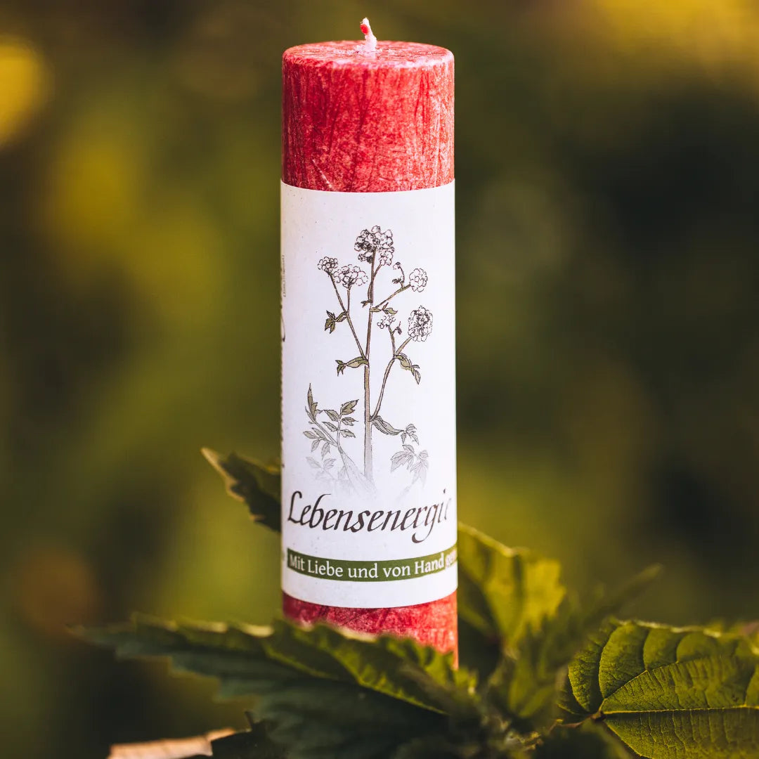 Rote Allgäuer Heilkräuterkerze "Lebensenergie" auf grünen Blättern, für Stärke und Vitalität.