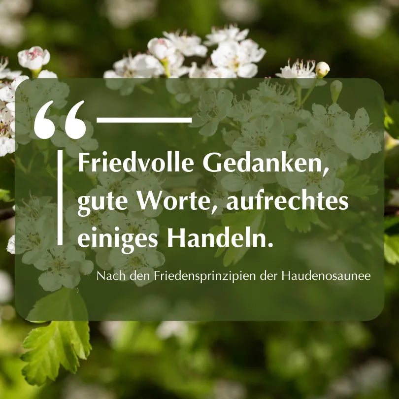 Zitat: "Friedvolle Gedanken, gute Worte, aufrechtes einiges Handeln." Nach Friedensprinzipien der Haudenosaunee. Auf Blütenhintergrund.