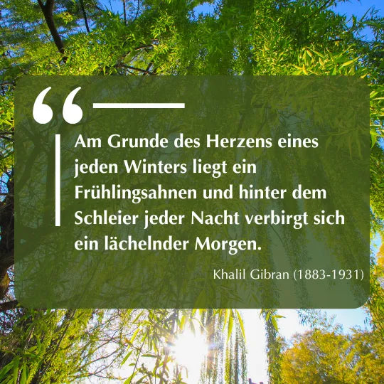 Zitat: "Am Grunde des Herzens eines jeden Winters liegt ein Frühlingsahnen..." von Khalil Gibran. Auf grünem Blätterhintergrund.