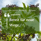 Inspirierendes Zitat "Bereit für neue Wege." vor Holunderbusch mit Beeren, zum Thema Holunder & Wandlung.
