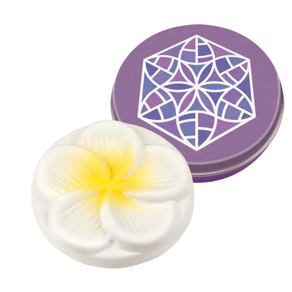 Baldini Duftstein Frangipani in Schmuckdose, kompakt und sicher, für individuelle Beduftung.