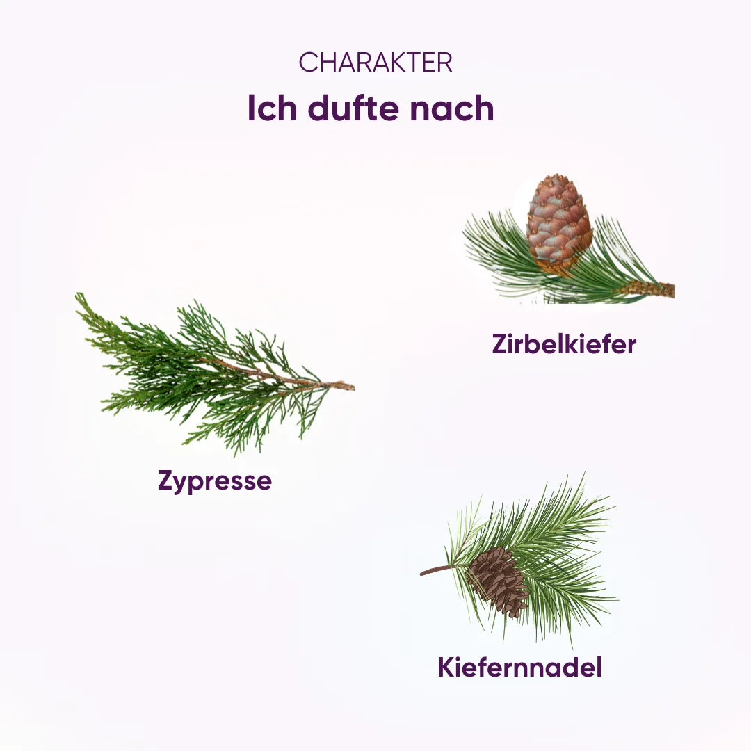 Feelwald Duftcharakter: Komposition aus Zypresse, Zirbelkiefer und Kiefernnadel, Naturduft.