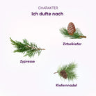 Feelwald Duftcharakter: Komposition aus Zypresse, Zirbelkiefer und Kiefernnadel, Naturduft.