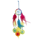 Verspielter Regenbogen Traumfänger mit bunten Federn und Muschelplättchen, Deko-Akzent.