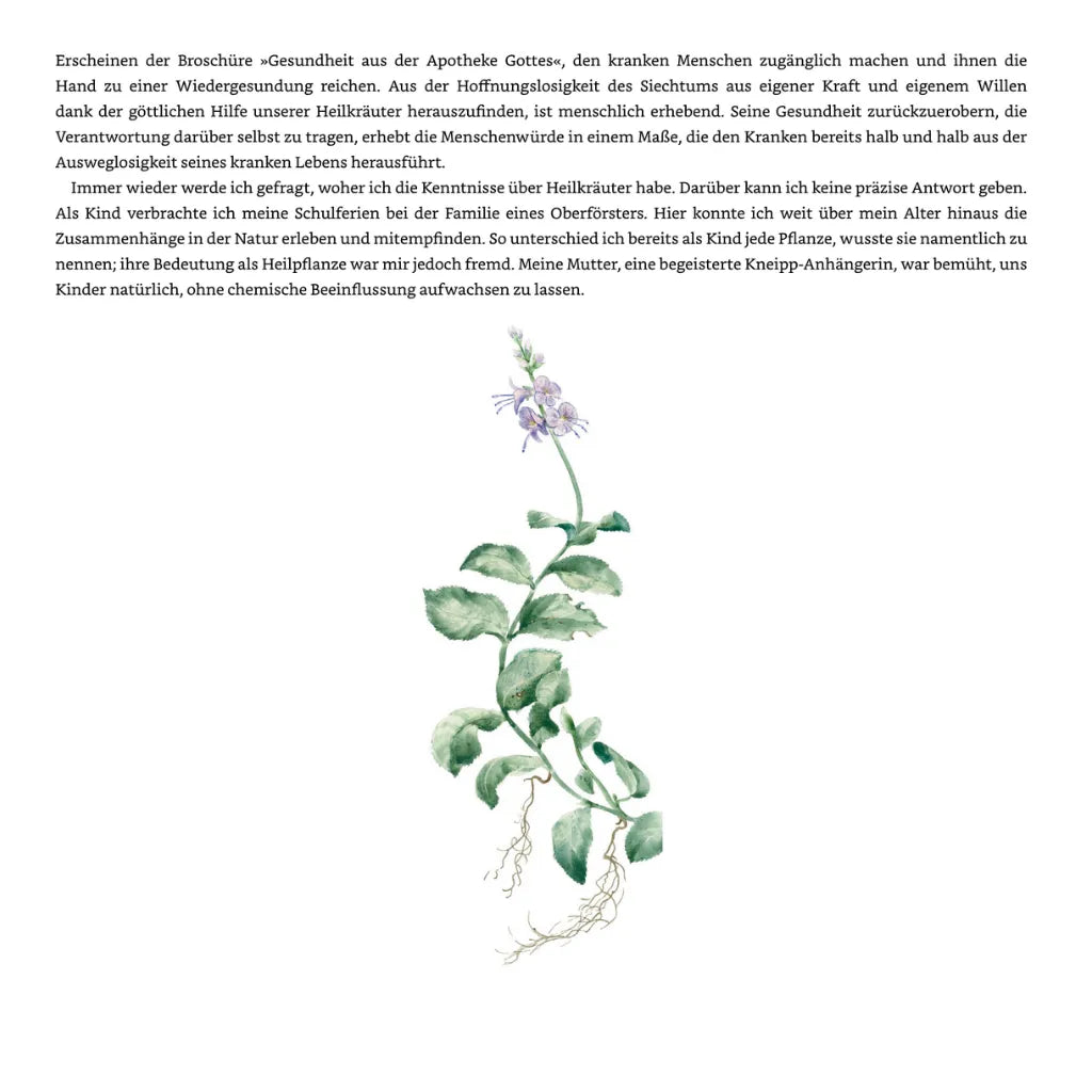 Maria Treben Gesundheit Apotheke Gottes Vorwort mit Heilpflanzen-Illustration. Kräuterkunde bei Sera Benia.