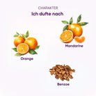 Wintertraum Duftcharakter: Komposition aus Orange, Mandarine und Benzoe, festlich und gemütlich.