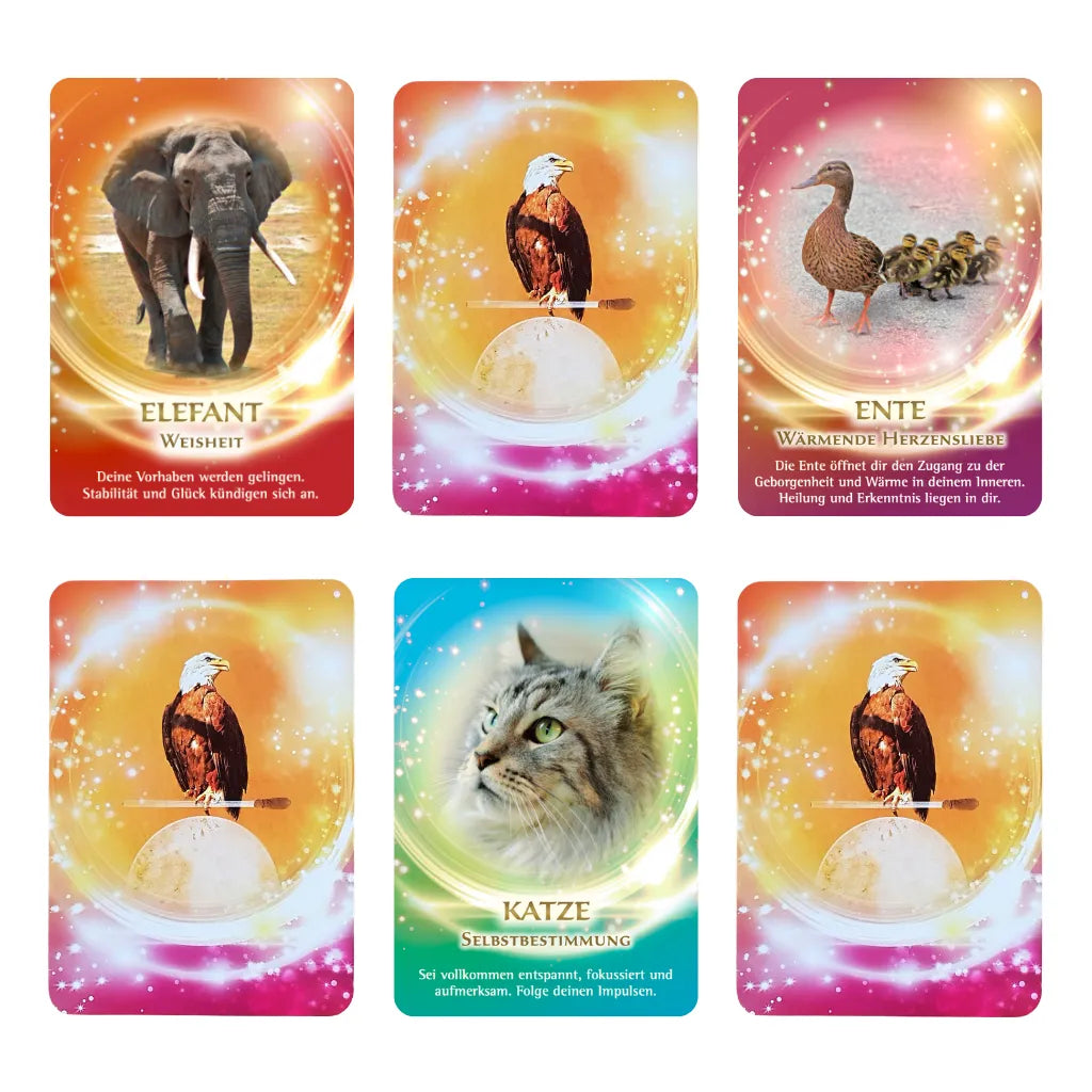 Übersicht mehrerer Orakelkarten aus dem "Krafttier Orakel" von Jeanne Ruland: Elefant (Weisheit), Adler, Ente (Herzensliebe) und Katze (Selbstbestimmung), präsentiert in einem Raster.