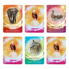 Übersicht mehrerer Orakelkarten aus dem "Krafttier Orakel" von Jeanne Ruland: Elefant (Weisheit), Adler, Ente (Herzensliebe) und Katze (Selbstbestimmung), präsentiert in einem Raster.