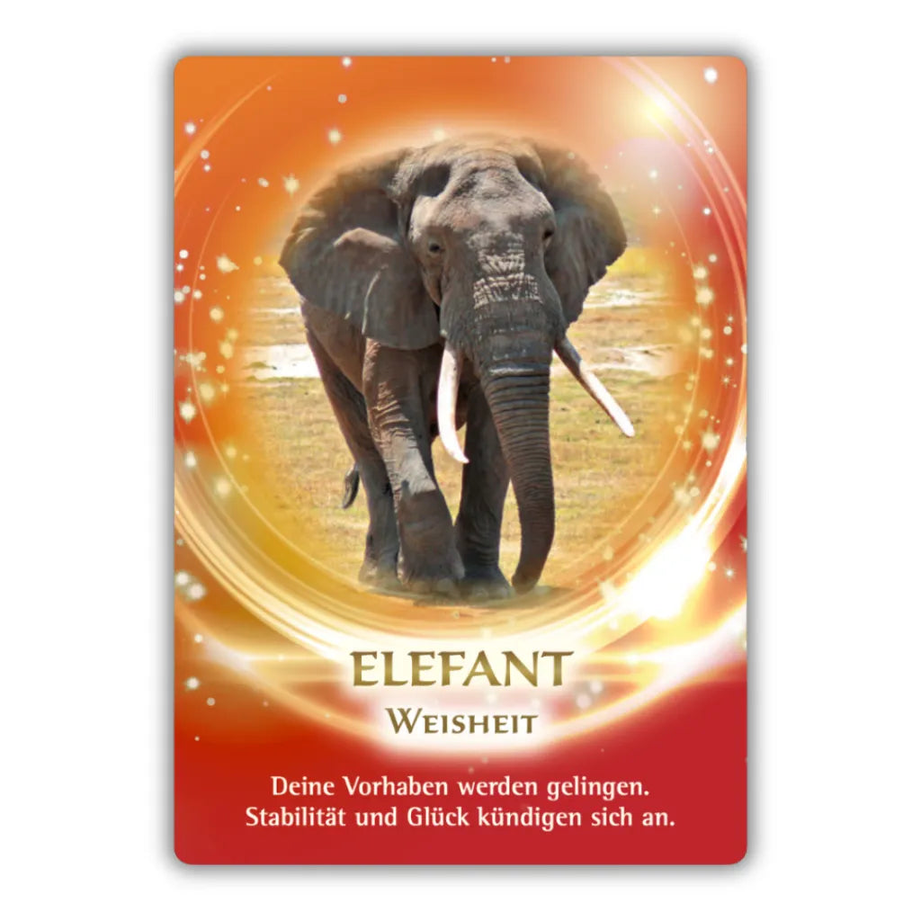 Orakelkarte "Elefant - Weisheit" aus dem Krafttier-Orakel von Jeanne Ruland. Zeigt einen Elefanten und die Botschaft "Stabilität und Glück kündigen sich an".