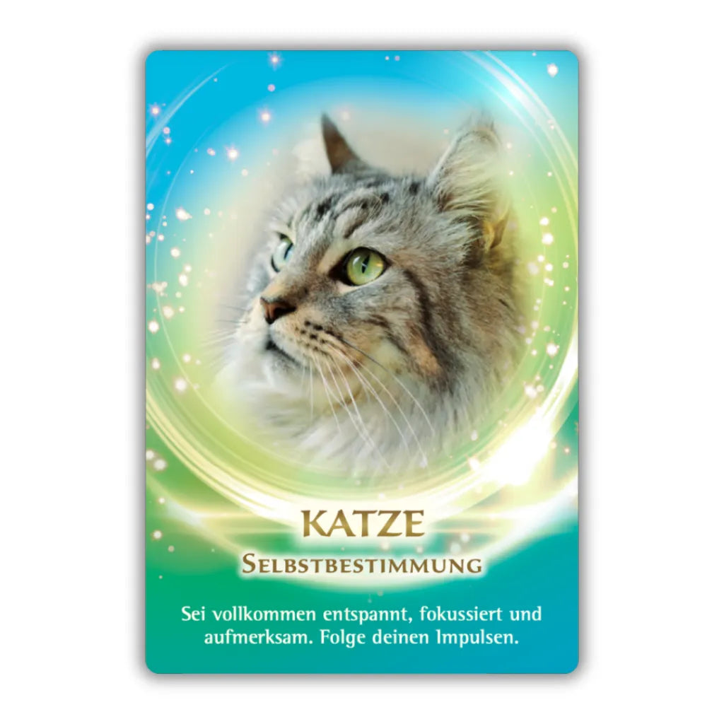 Orakelkarte "Katze - Selbstbestimmung" aus dem Krafttier-Orakel von Jeanne Ruland. Zeigt eine Katze mit grünen Augen und die Botschaft, entspannt, fokussiert und aufmerksam zu sein.